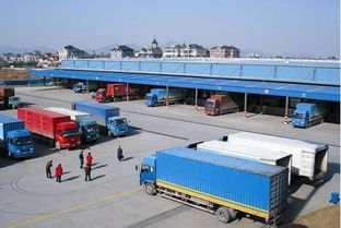 滴滴貨運(yùn)入場(chǎng) 道路貨物運(yùn)輸領(lǐng)域的“鯰魚(yú)效應(yīng)”與行業(yè)變革展望